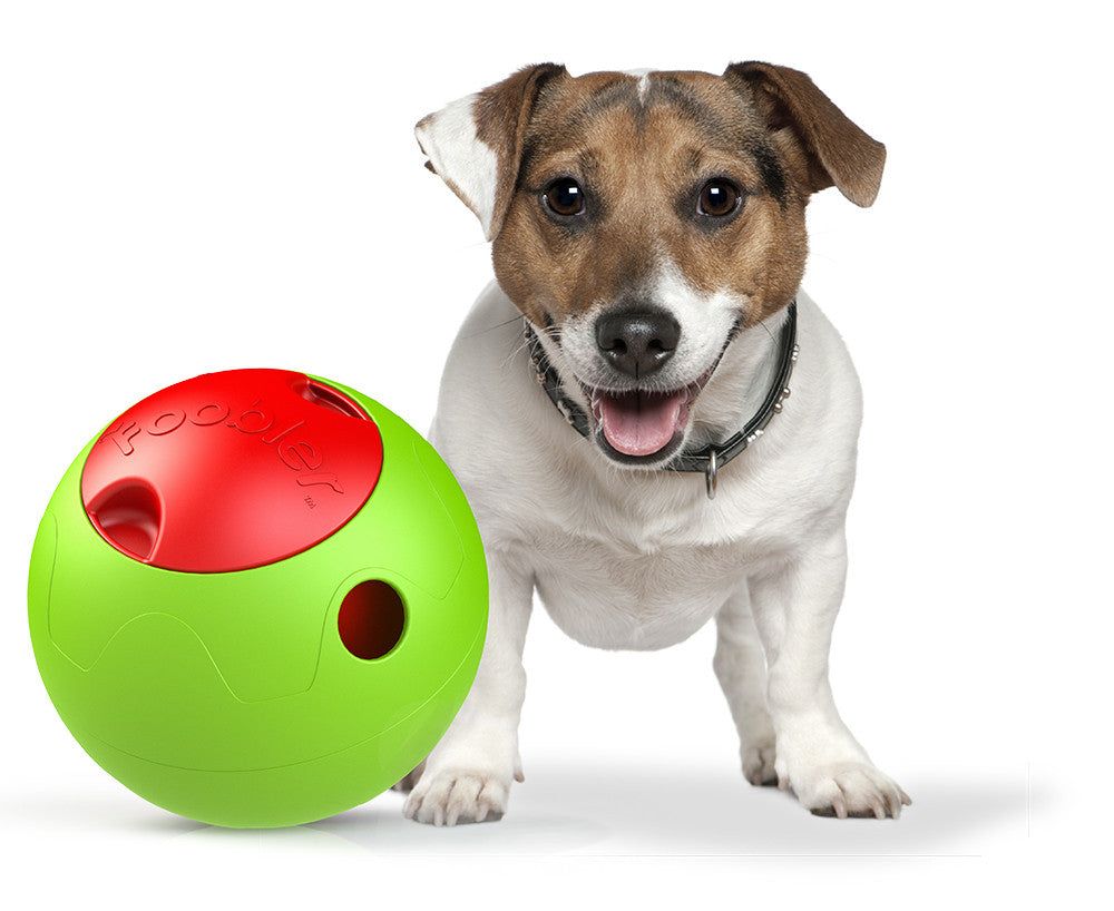 Foobler timed self-reloading puzzle feeder toy ball for dogs