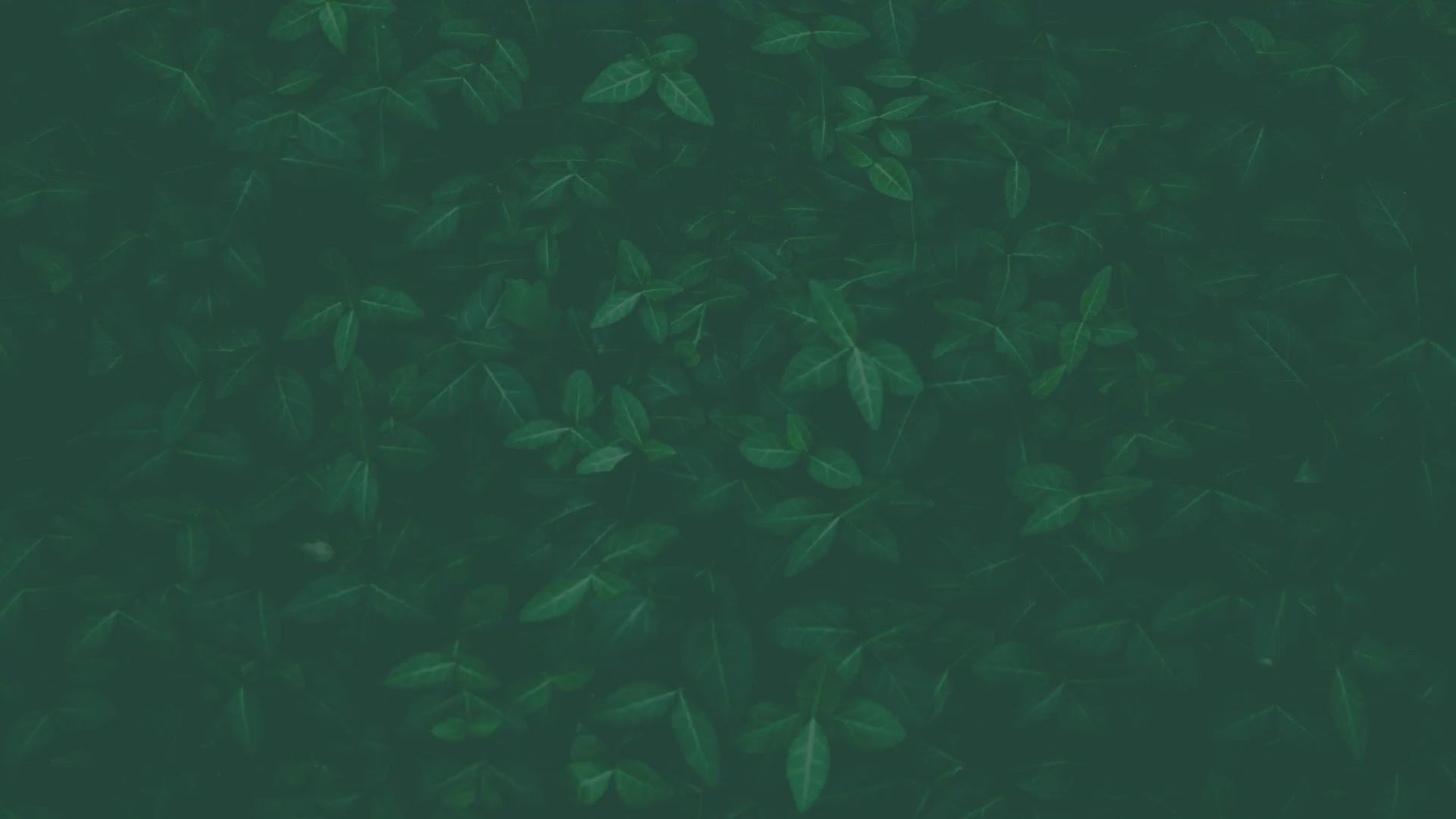 vx-vm-p-65923486a2455e457ce4200f1505657d-1773949840